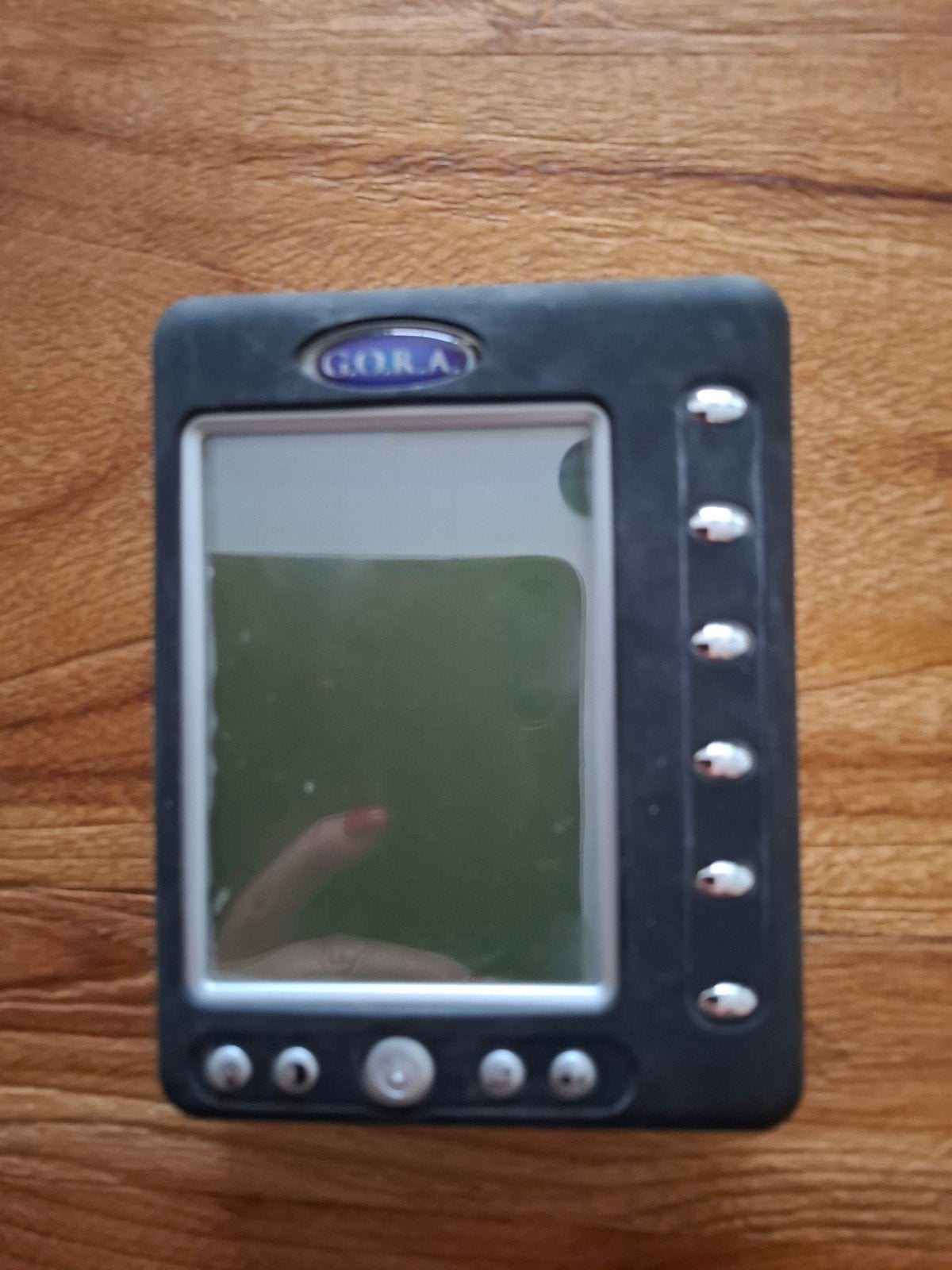Oude PDA G.O.R.A. met stylus en beschermhoes, Ophalen of Verzenden