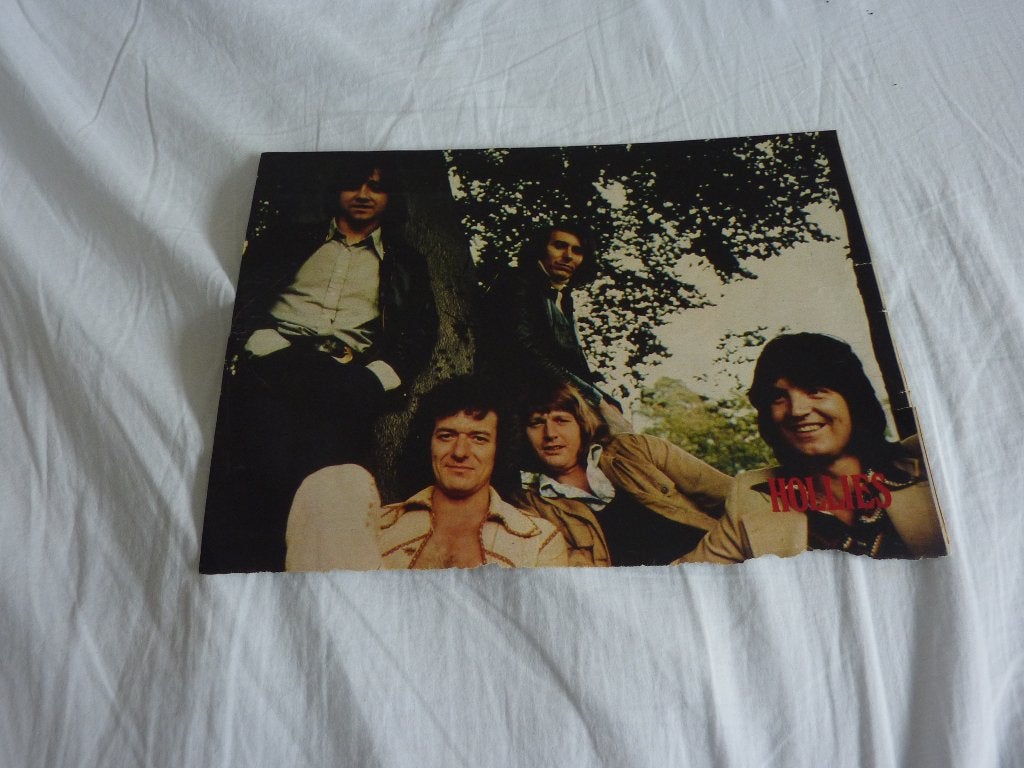 THE HOLLIES KLEUREN POSTER, Verzenden, Zo goed als nieuw, A1 t/m A3, Film en Tv