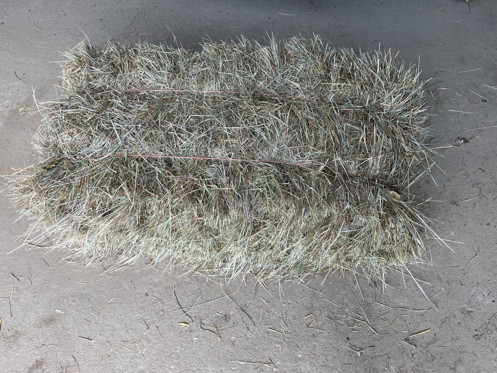Graashooi kleinepakjes hooi balen (Brabant gemeente Altena), Dieren en Toebehoren, Ophalen, Overige soorten