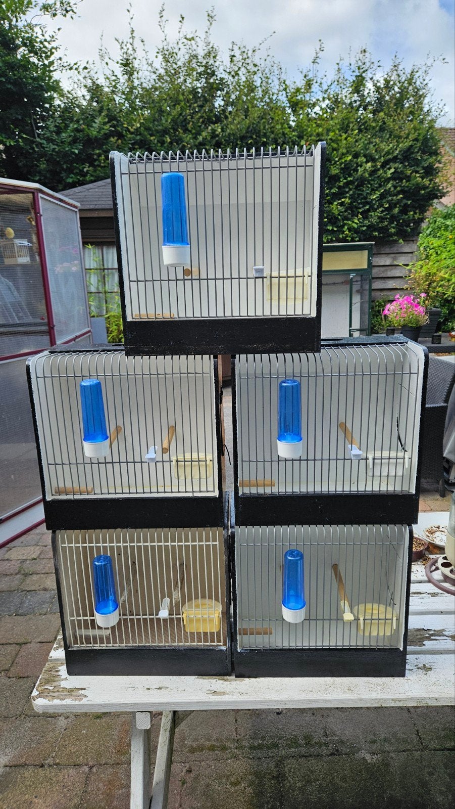 TT kooien, Dieren en Toebehoren, Vogels | Hokken en Kooien, Ophalen of Verzenden