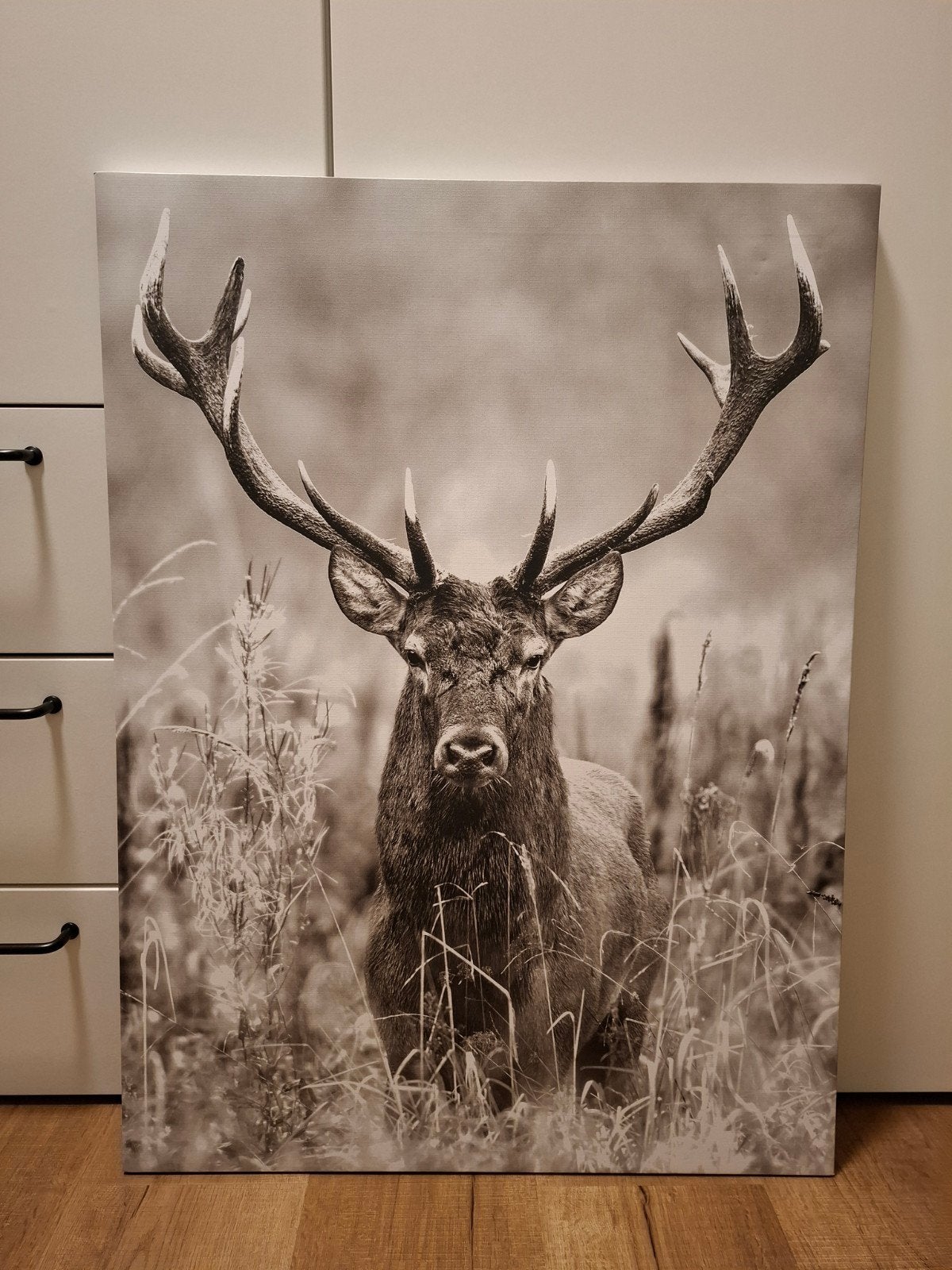Canvas hert 58 x 77 cm, Ophalen, Zo goed als nieuw, Schilderij, 75 – 100