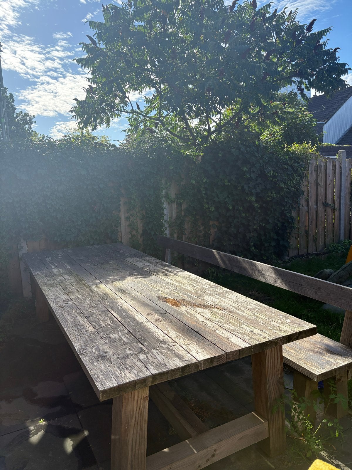 Douglas houten tafel + bank (lengte 300 cm), Gebruikt, Meer dan 8 zitplaatsen, Ophalen of Verzenden, Hout