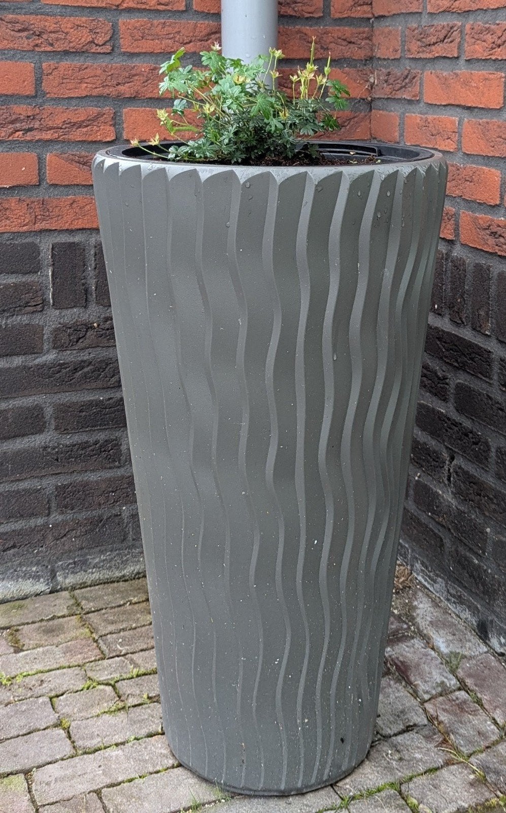 Elho hoge bloempot grijs, zgan, Ophalen, Kunststof, Rond, Zo goed als nieuw