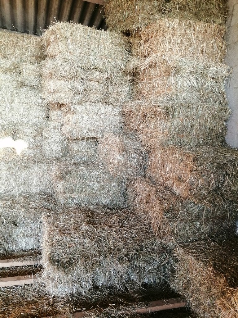 hooi, Ophalen of Verzenden, Vee