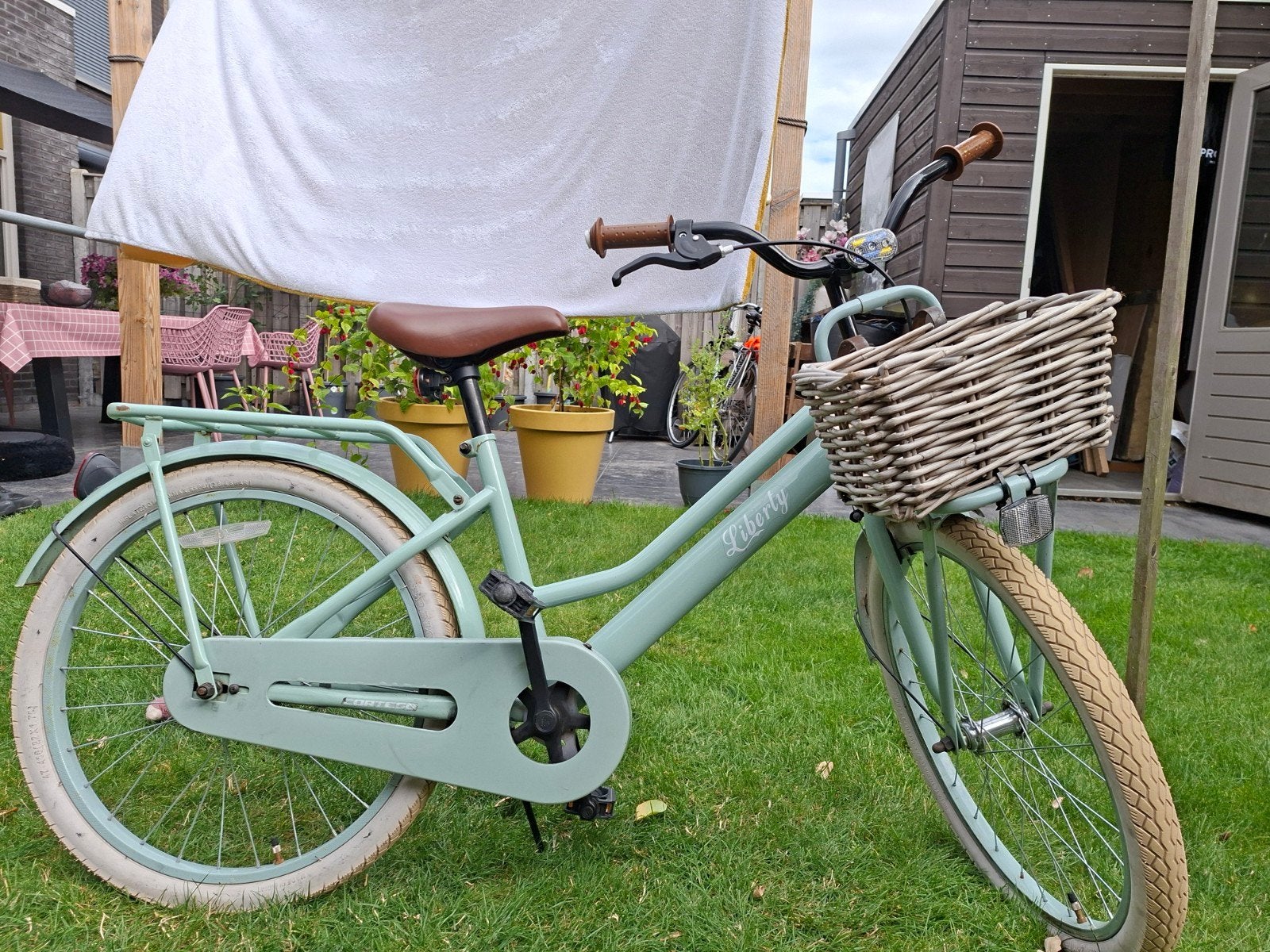Zacht groene meisjesfiets 22 inch, Fietsen en Brommers, Fietsen | Meisjes, Ophalen, Gebruikt, 22 inch