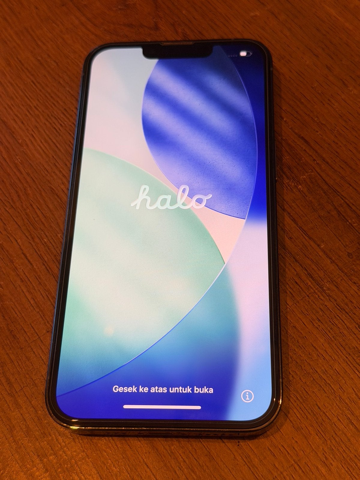 iPhone 13 Pro 256GB