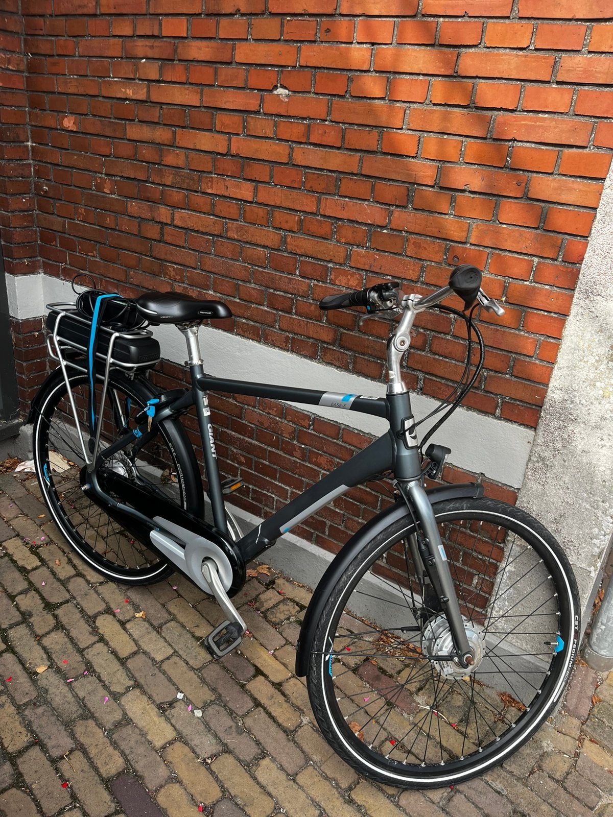 Giant E-bike ease-e, Ophalen, Zo goed als nieuw, Giant