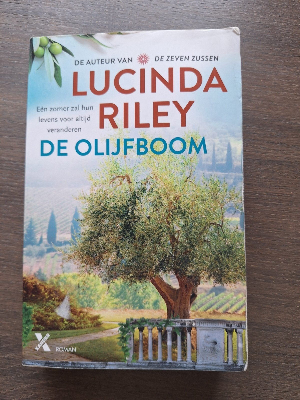 Lucinda Riley - De olijfboom, Boeken, Ophalen of Verzenden, Zo goed als nieuw, Lucinda Riley