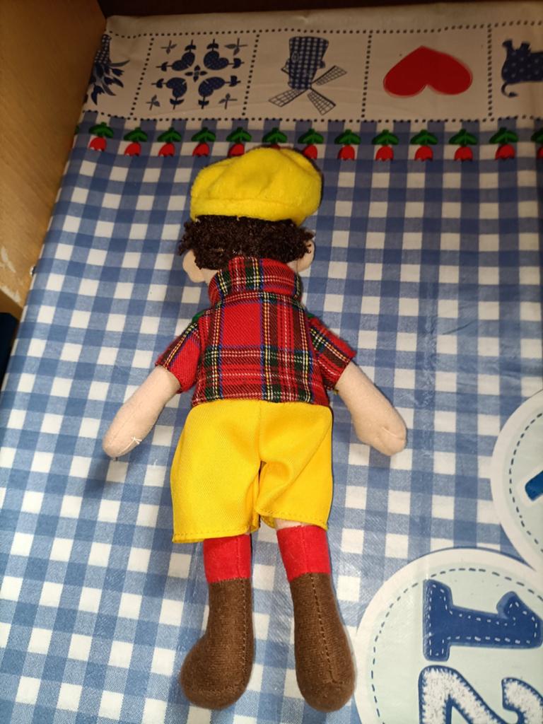 Camping De Kleine Wolf Ommen knuffel 28 cm groot, Ophalen of Verzenden, Zo goed als nieuw, Overige typen