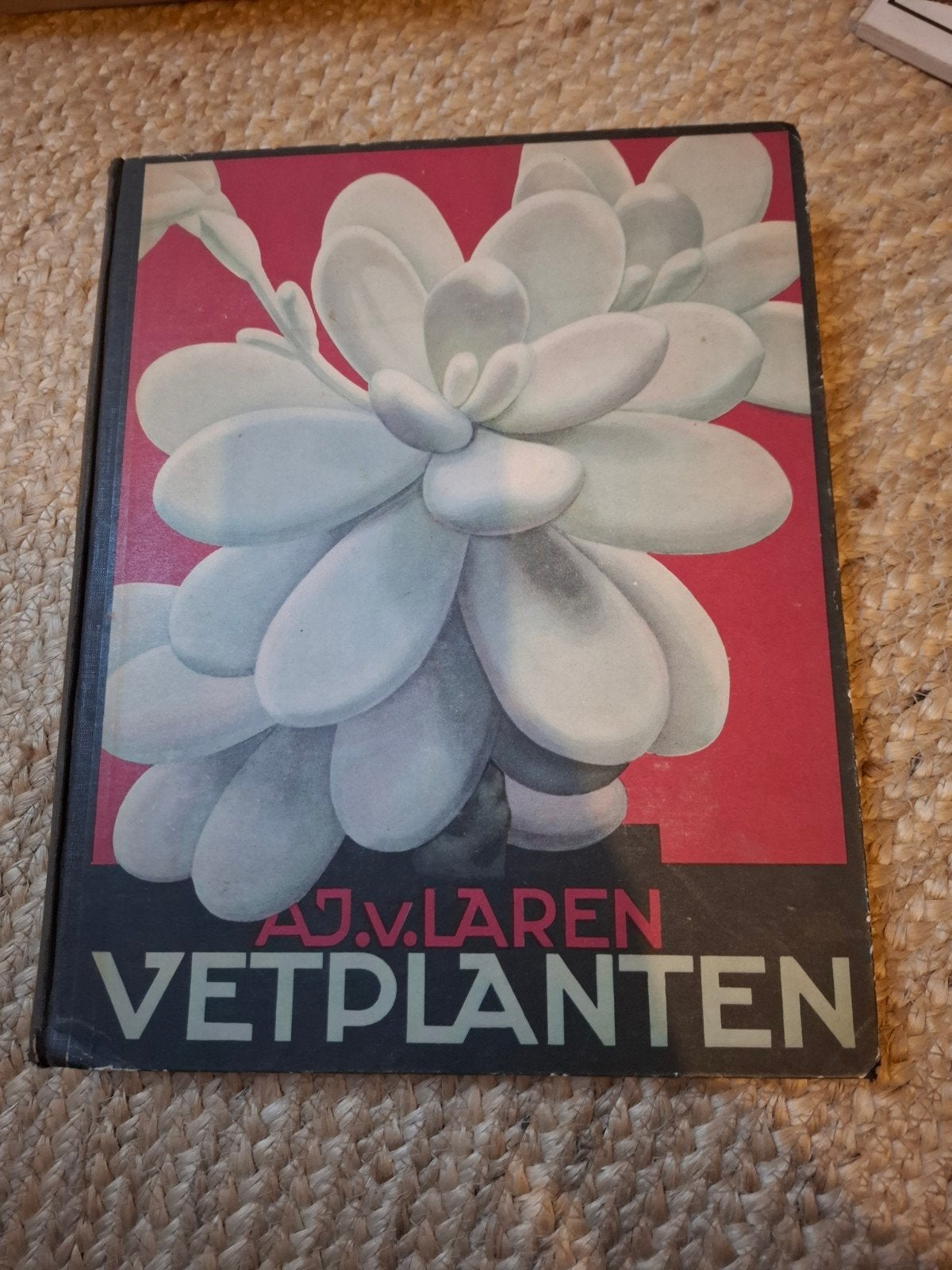 AJV Laren Vetplanten - Vintage Boek over Succulenten, Ophalen of Verzenden, Gelezen, A.J.v. Laren, Kamerplanten