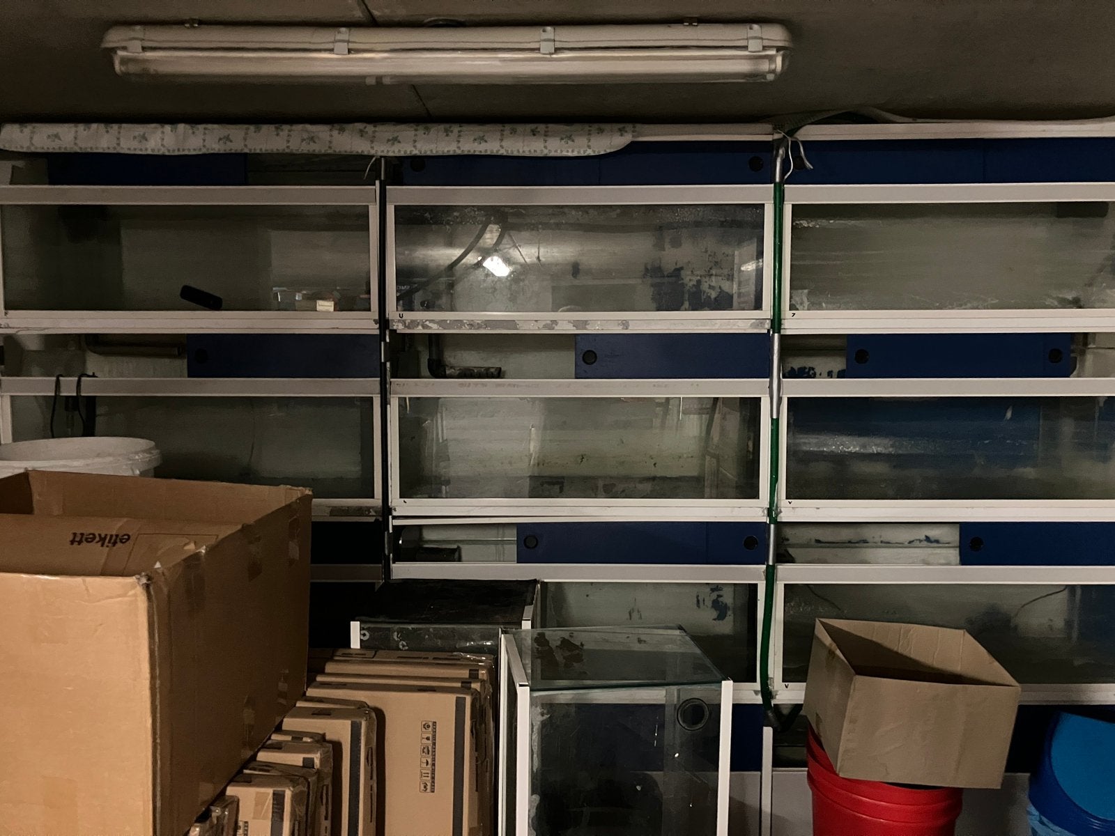 Aquariumstelling  met 12 bakken waarvan 3 biologen., Ophalen, Gebruikt, Leeg aquarium