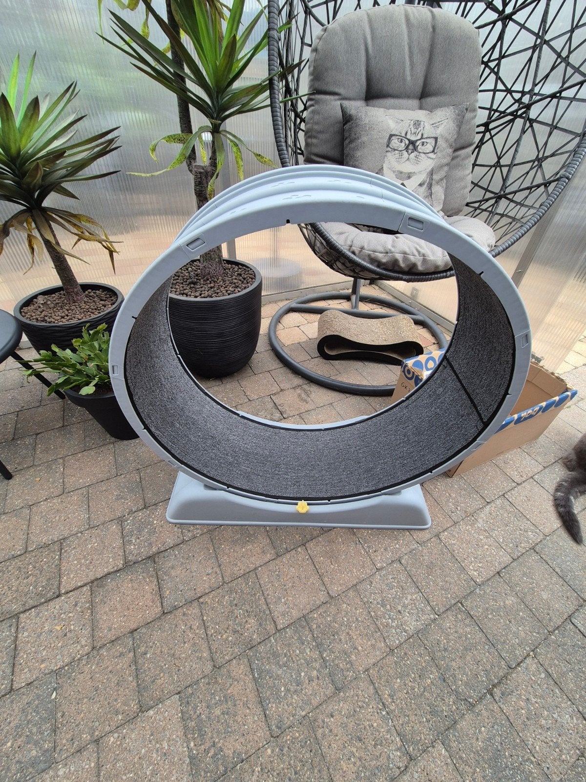Katten loopwiel (nieuw), Ophalen, Overig speelgoed