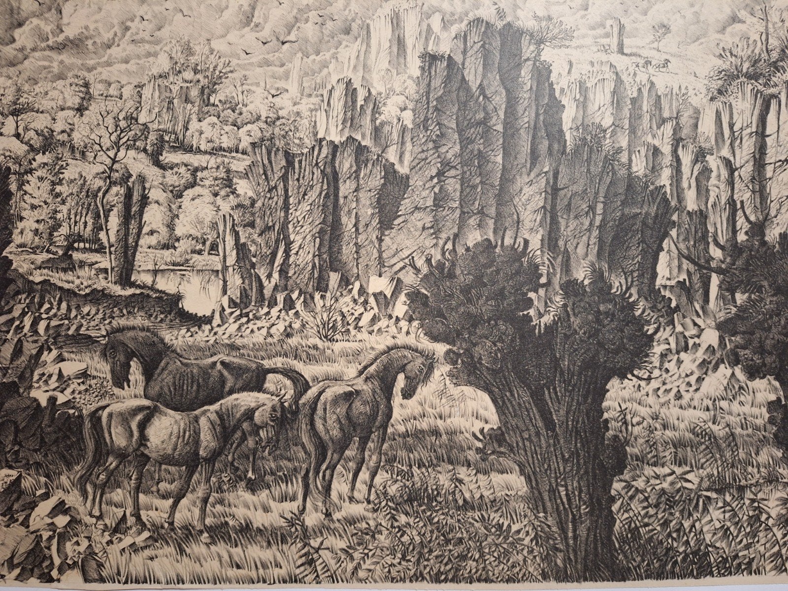 Lithografie wilde paarden van G. Lutz, Antiek en Kunst, Kunst | Etsen en Gravures, Ophalen of Verzenden, Flora en Fauna, Origineel