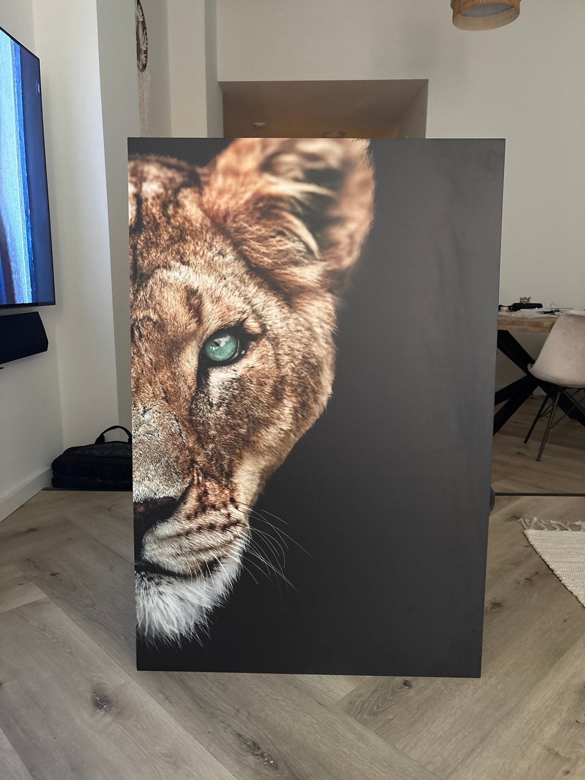 Schilderij halve leewin op forex- Dierenkunst, Ophalen, Dieren, Print, Op houten frame