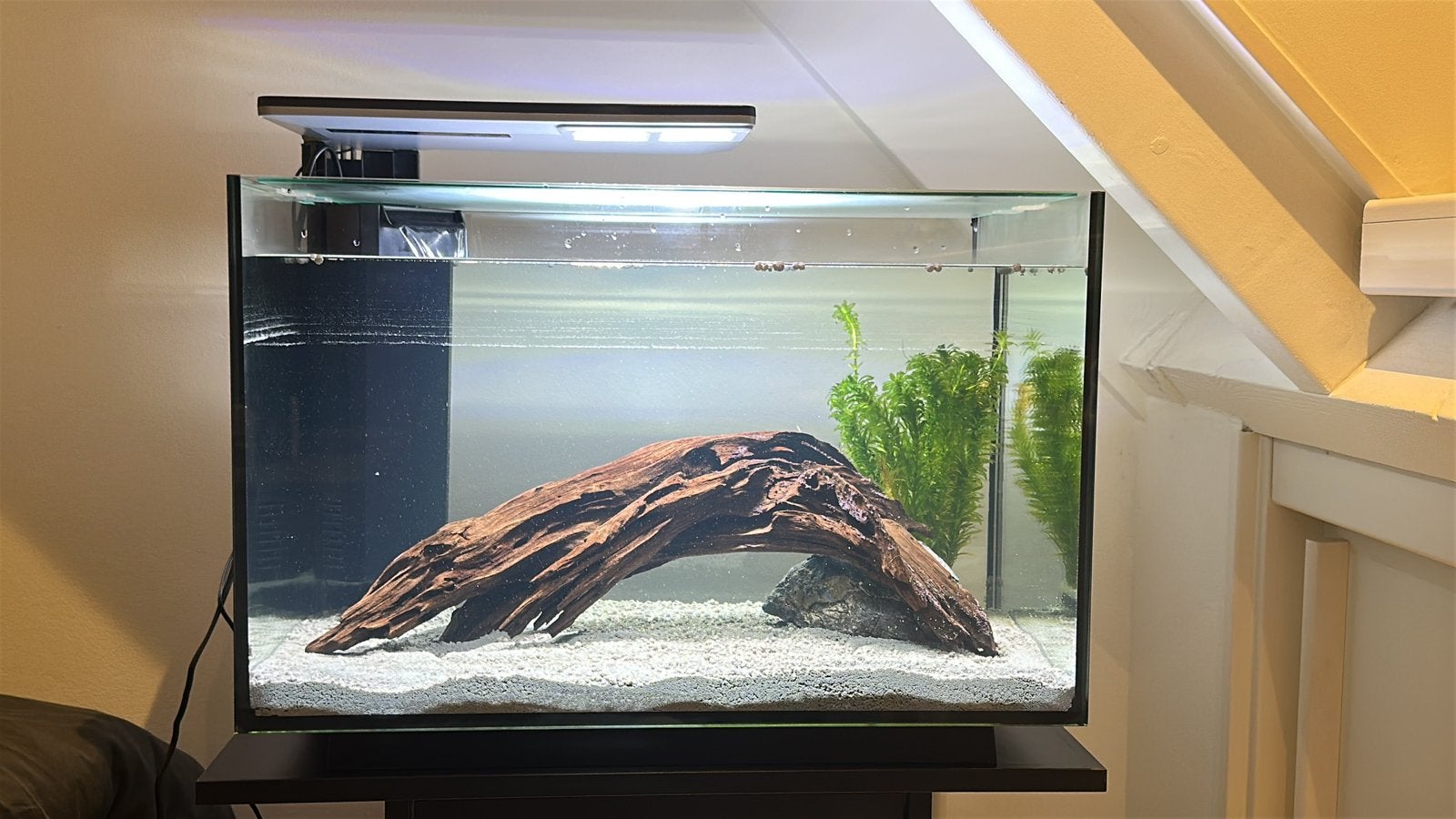 Aquarium + kast, Ophalen, Zo goed als nieuw, Leeg aquarium