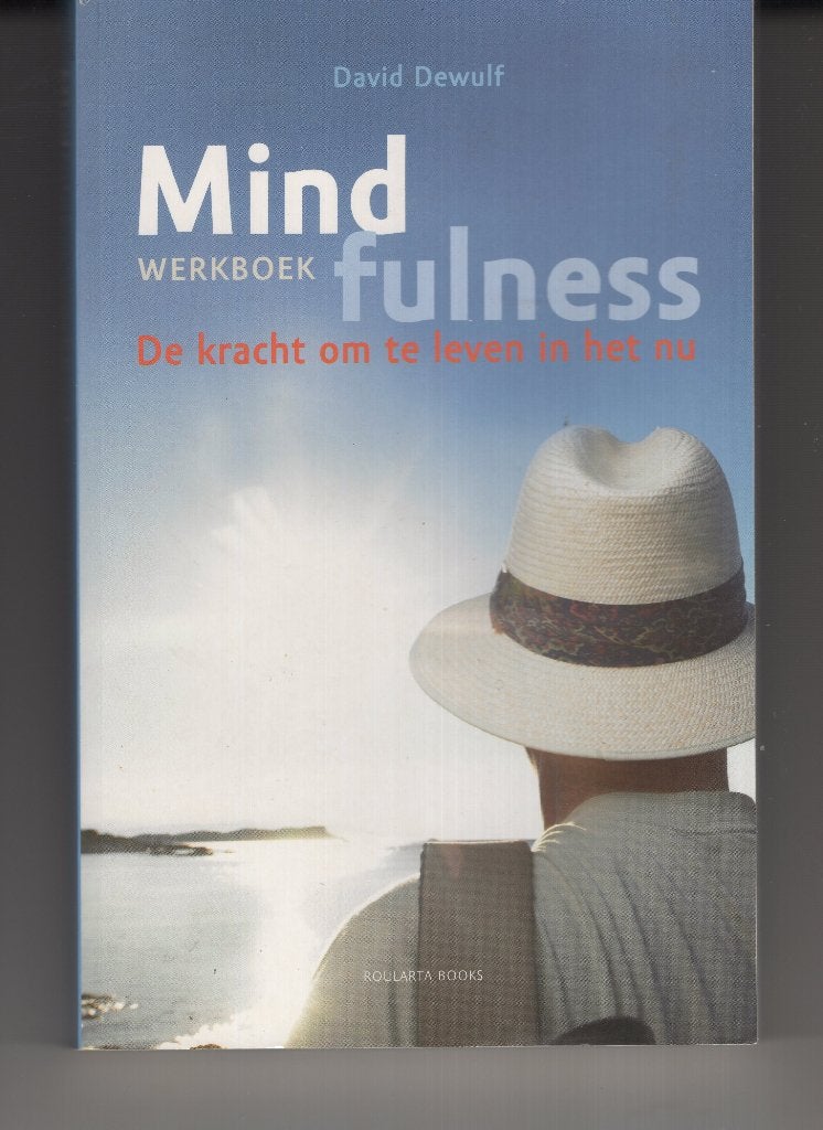 Mindfulness werkboek David Dewulf, Ophalen of Verzenden, Zo goed als nieuw, Spiritualiteit algemeen, Overige typen