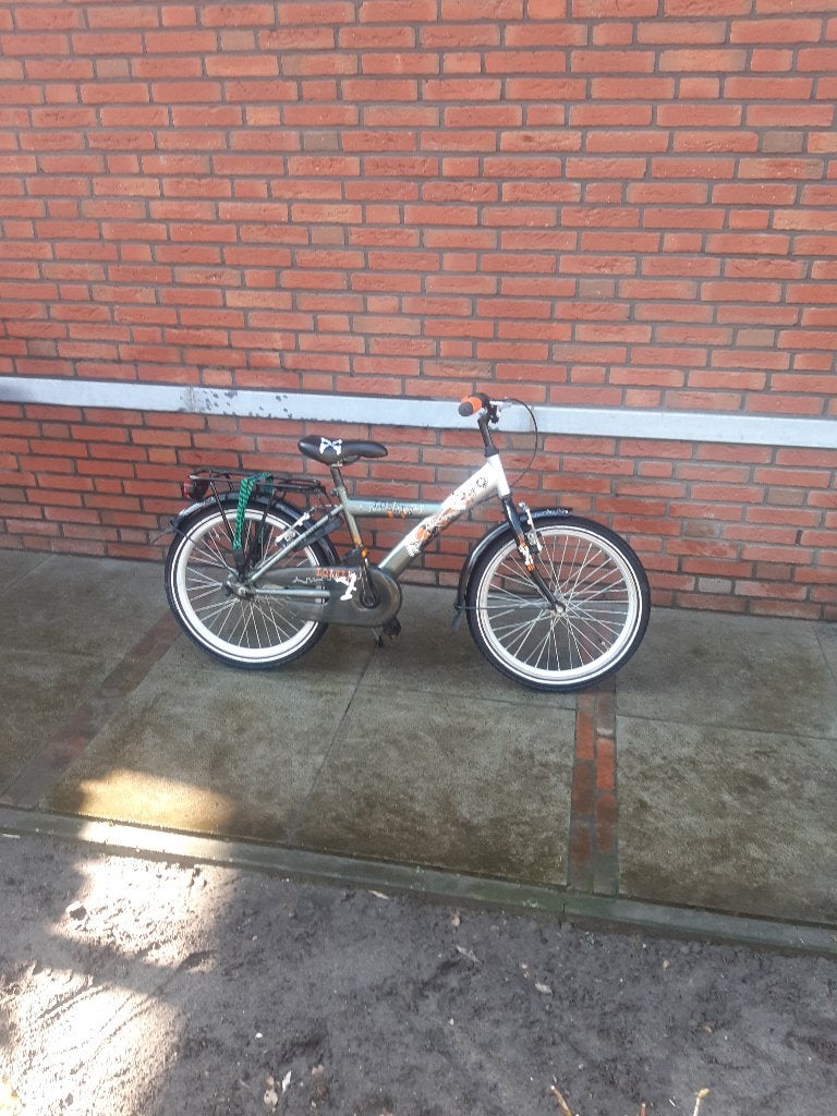 Loekie Kinderfiets, Ophalen, Terugtraprem, Gebruikt, Loekie