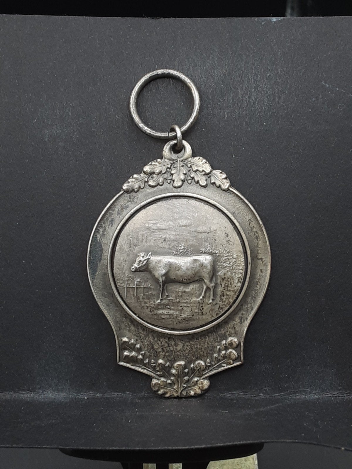 Koeien medaille 2e prijs 1938, Verzenden, Overige materialen, Nederland