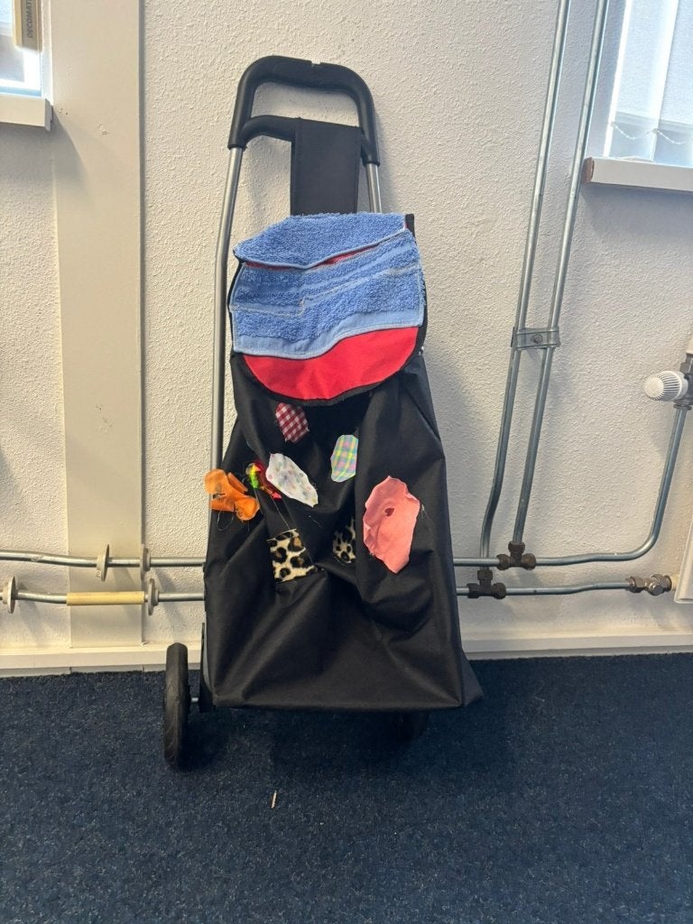Grappige Boodschappeltrolley, Ophalen, Zo goed als nieuw, 30 cm of meer, Minder dan 35 cm