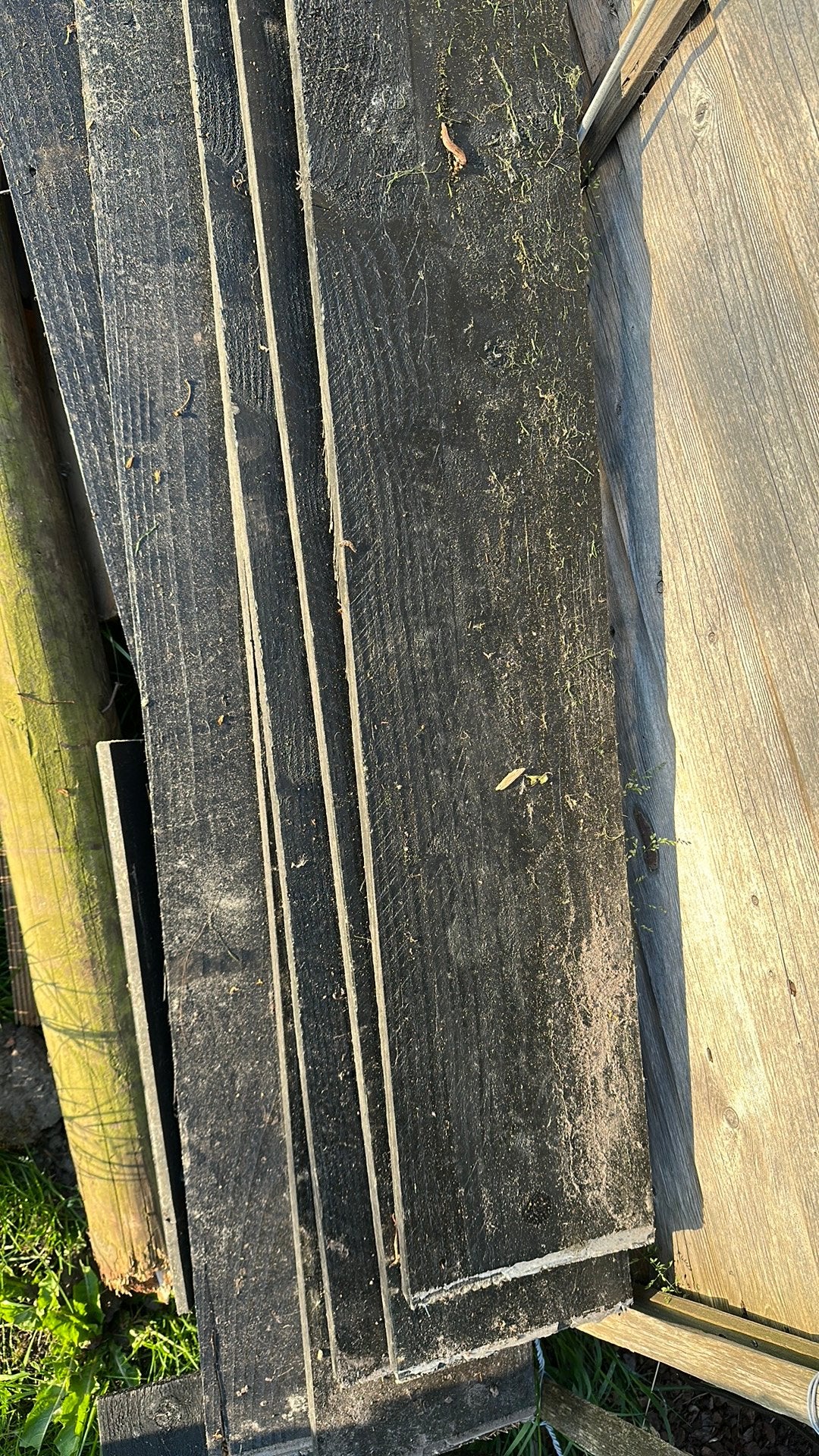 Zwarte Douglas Planken voor Overkapping hok, Ophalen, Gebruikt, 25 tot 50 mm, Plank