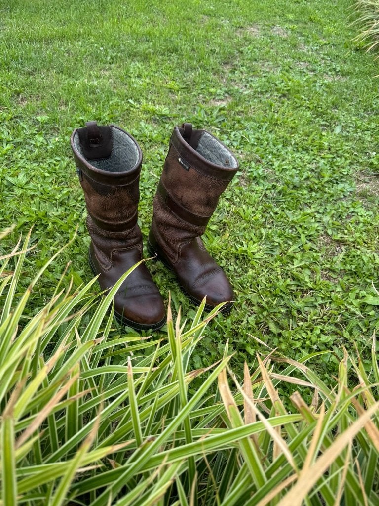 Dubarry laarzen maat 38, Overige merken, Ophalen of Verzenden, Zo goed als nieuw, Overige disciplines