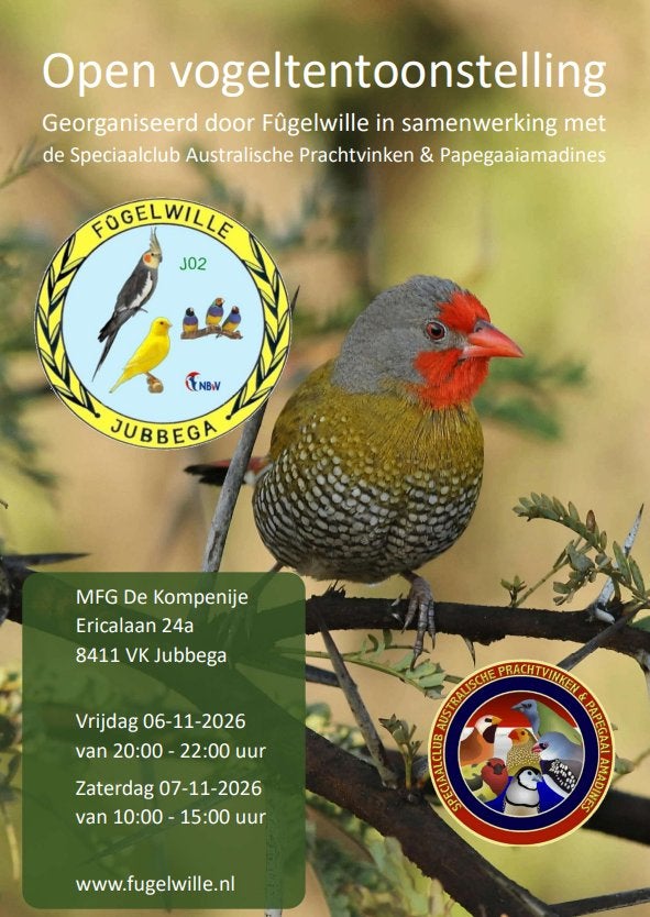 Open tentoonstelling Fûgelwille te Jubbega - Doet u mee?, Meerdere dieren, Tropenvogel