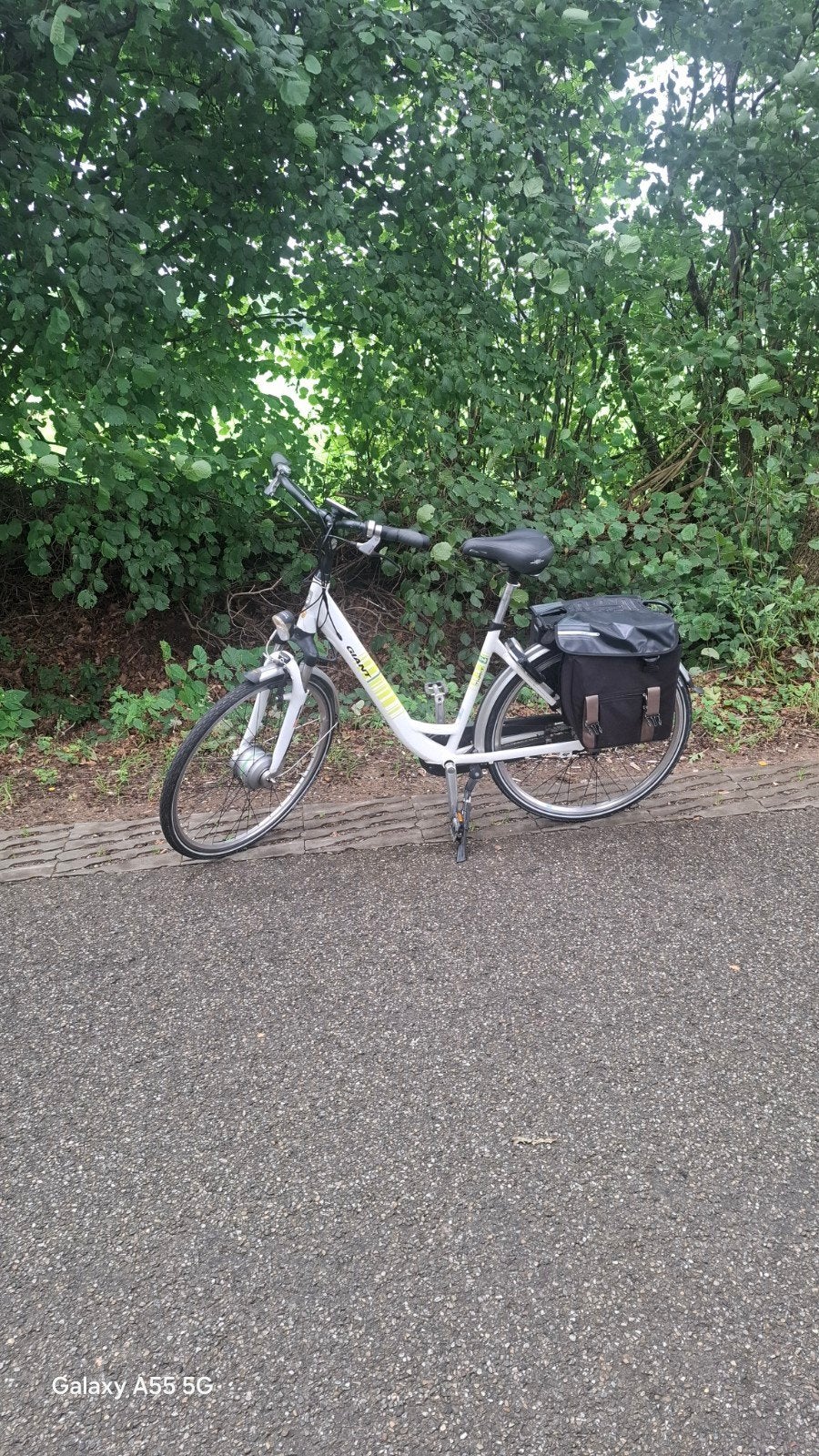 ruilen !! Giant Twist E-bike met dubbele accu - Zeer weinig, 59 cm of meer, Ophalen of Verzenden, Zo goed als nieuw, Overige merken