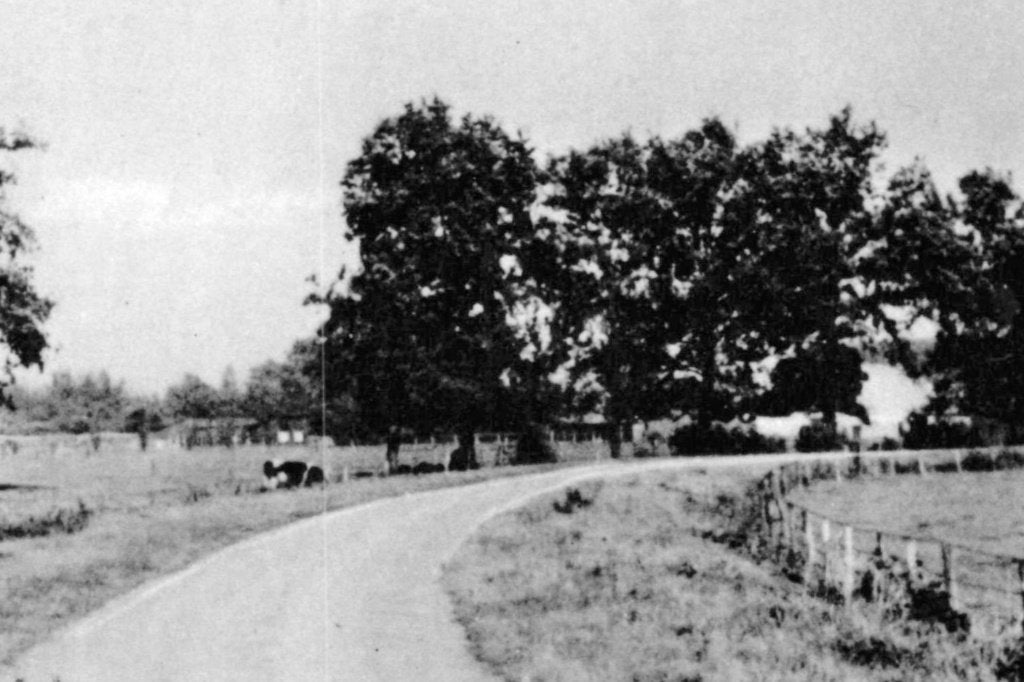 969238	Hellendoorn	Ov 1951 Schuilenburgerweg	Gelopen, Ophalen of Verzenden, 1940 tot 1960, Gelopen, Overijssel