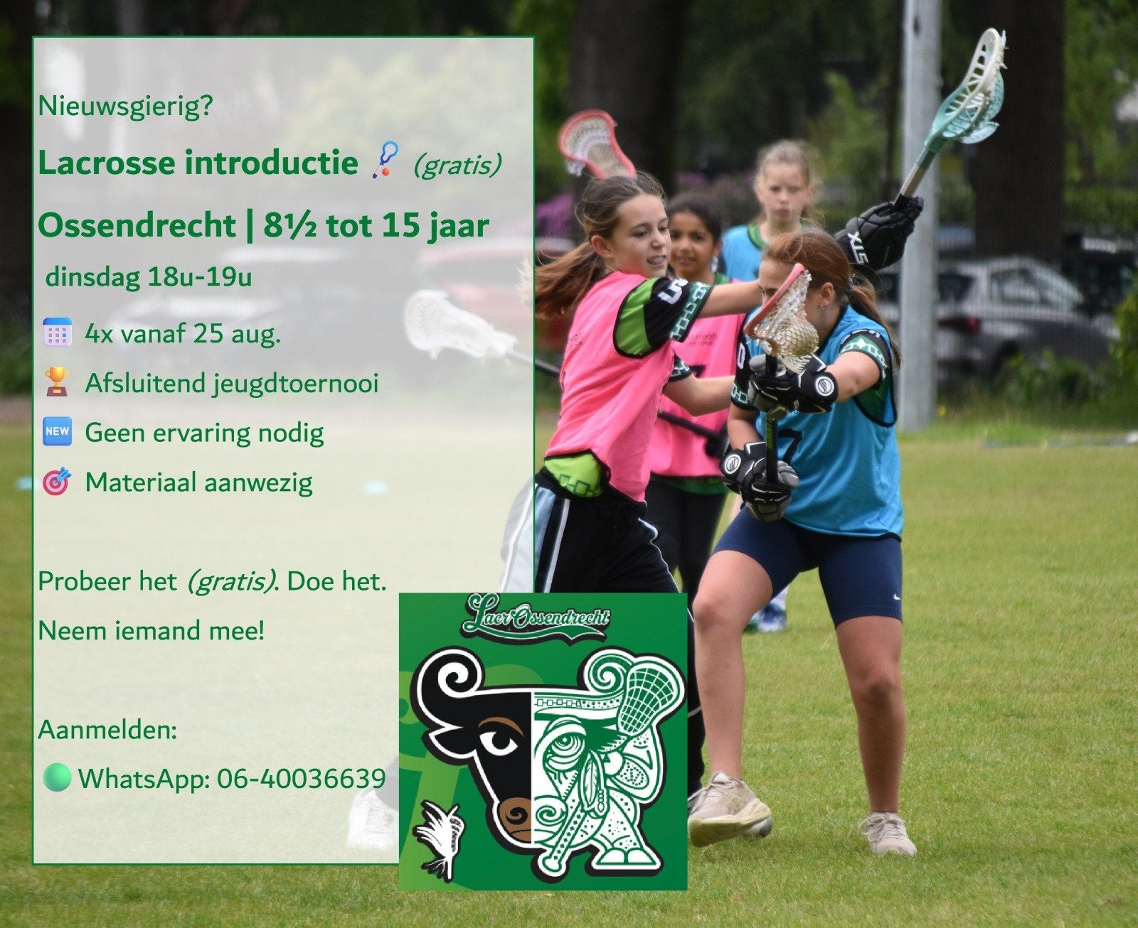 Gratis Lacrosse introductielessen in Ossendrecht, Ophalen, Nieuw