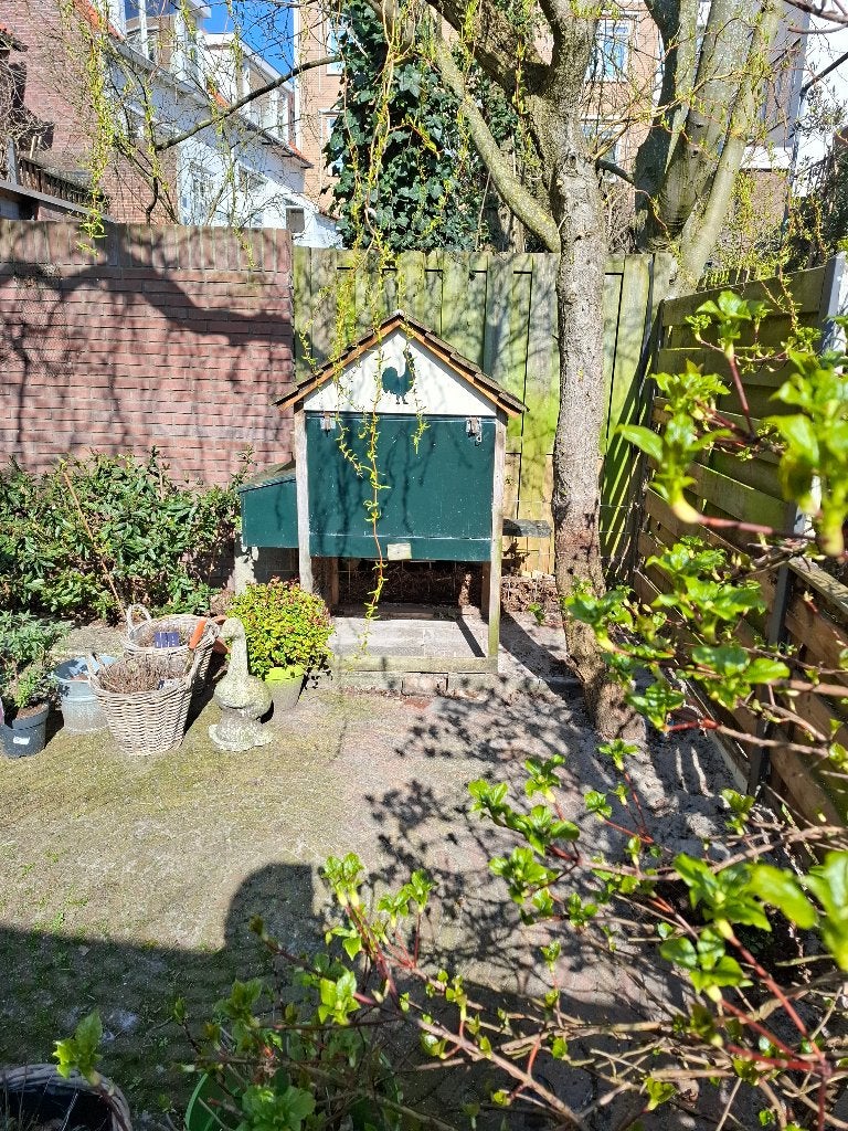kippenhok, Ophalen, Gebruikt, Kippenhok of Kippenren