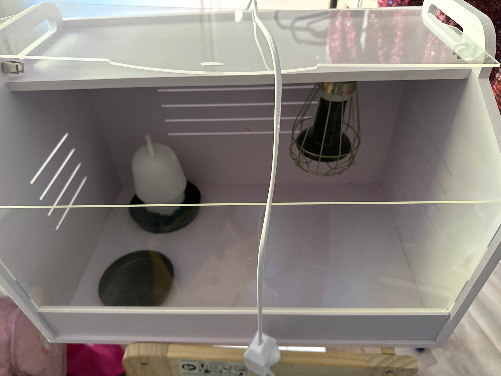 Premium couveuse brooder S voor kuikens/reptielen, Dieren en Toebehoren, Ophalen, Nieuw, Overige typen