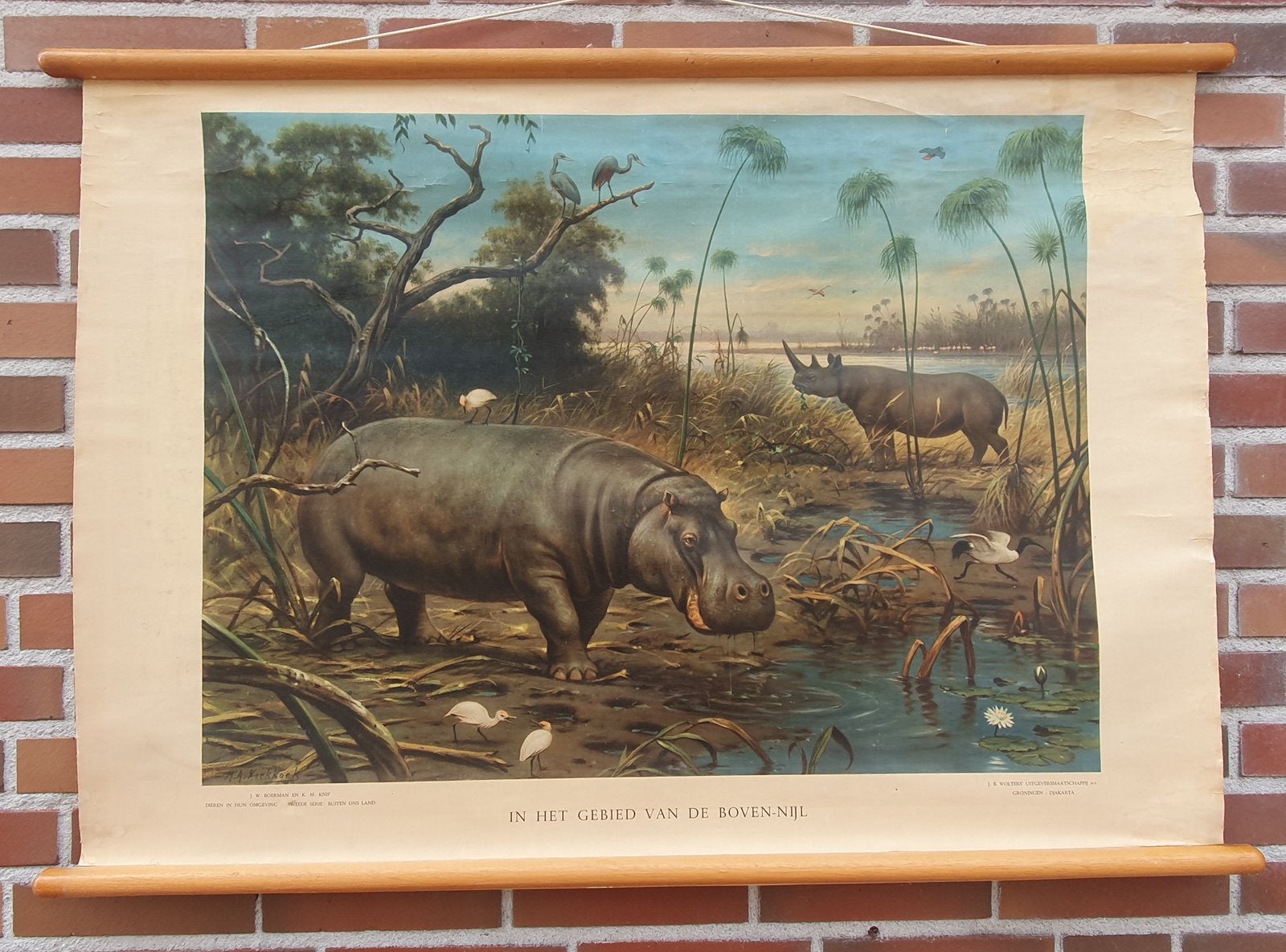 Schoolplaat In het gebied van den Boven-Nijl, Antiek en Kunst, Antiek | Schoolplaten, Natuur en Biologie, Ophalen