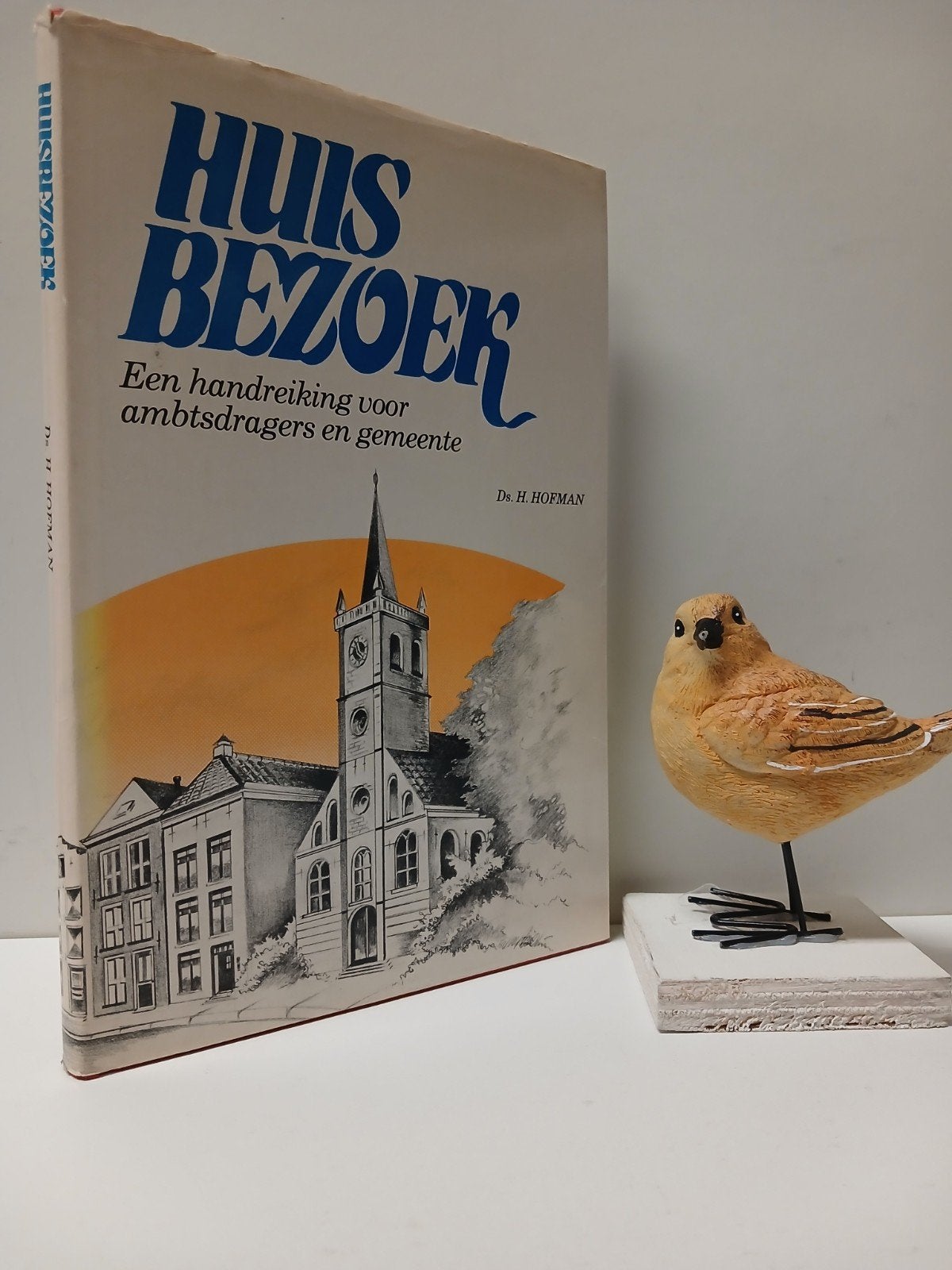 Hofman, Ds. H.; Huisbezoek, Boeken, Ophalen of Verzenden, Gelezen, Christendom | Protestants