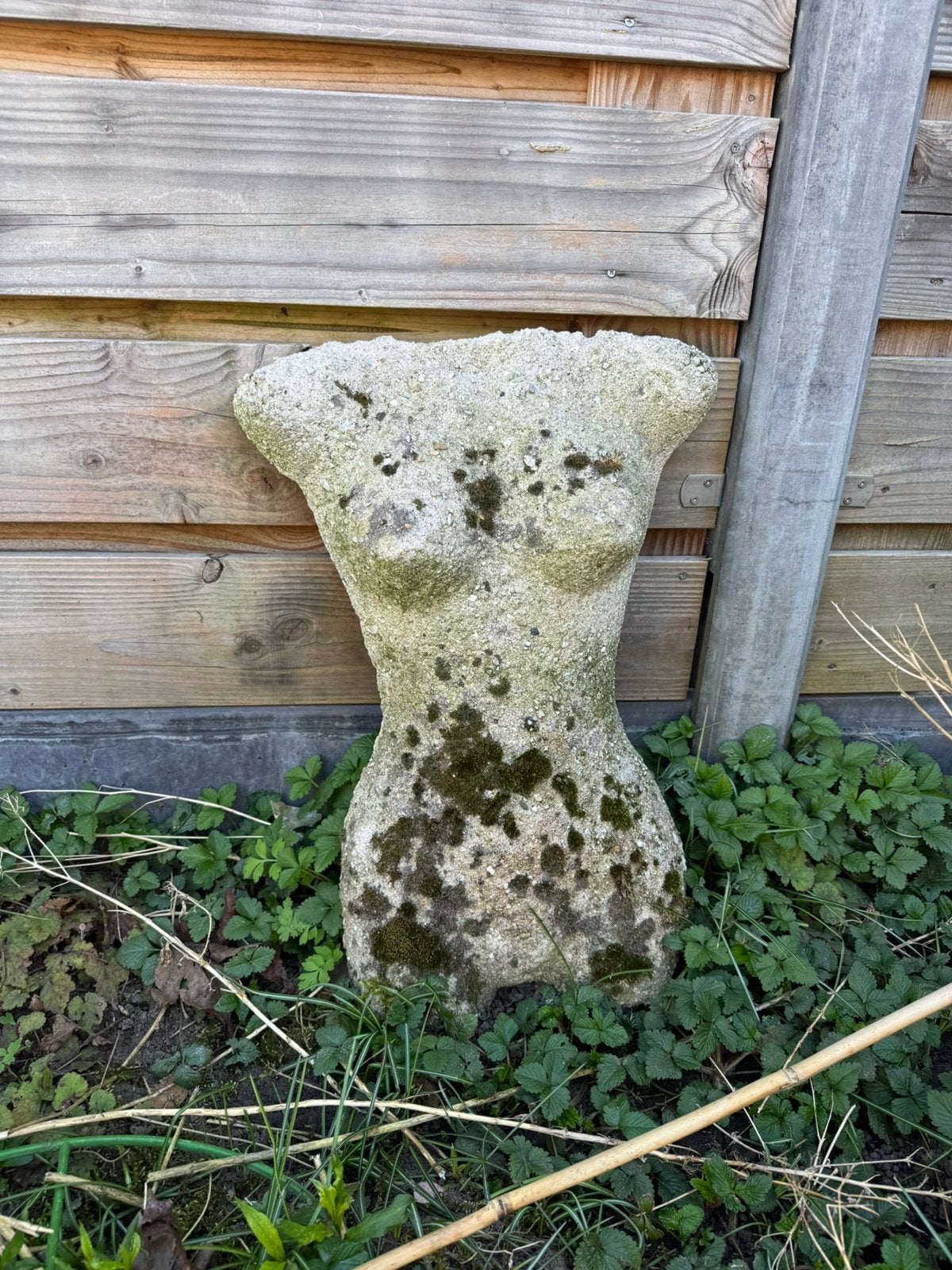 Gratis borstbeeld tuinbeeld, Ophalen, Gebruikt