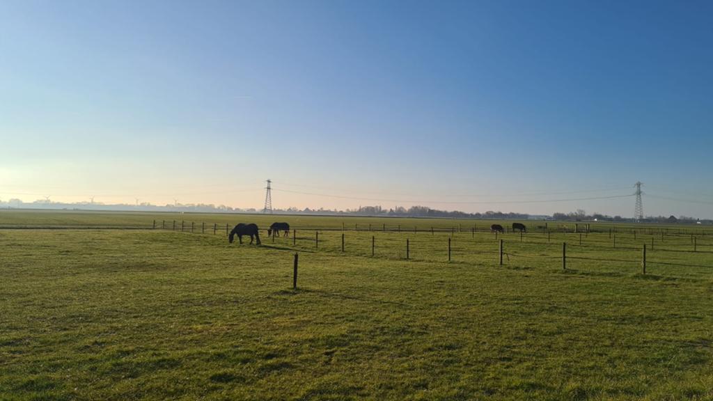 Stal vrij op boerderij, Dieren en Toebehoren, Stalling en Weidegang