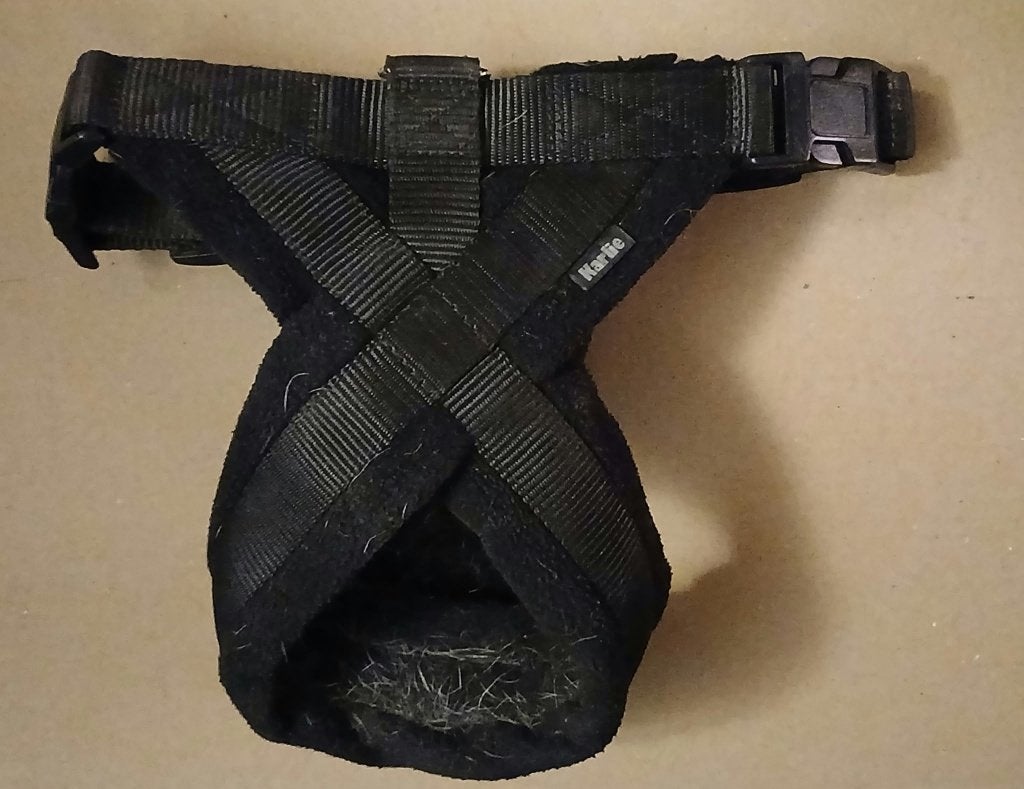 Tuigje (gevoerd) + Flexi oprolbare riem (kleine hond).., Dieren en Toebehoren, Ophalen of Verzenden, Gebruikt, Hondenriem