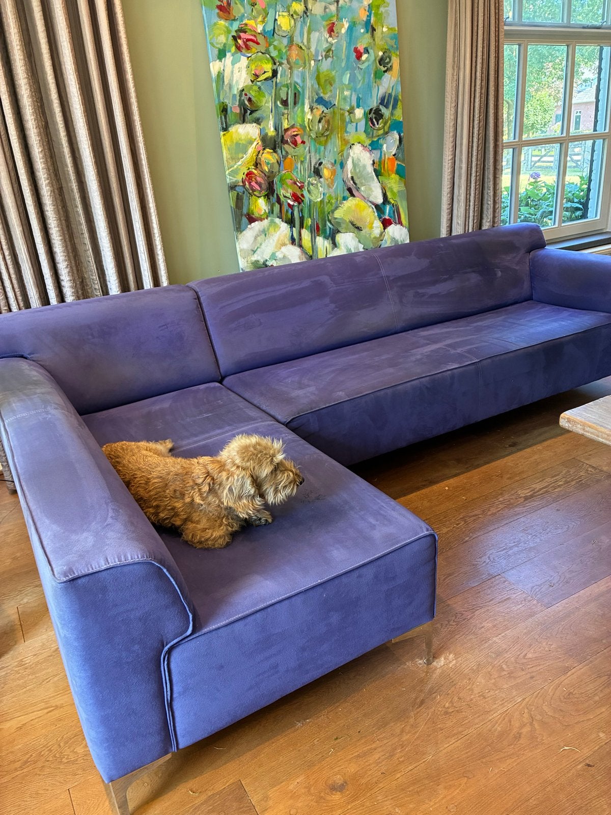 .Prachtige blauw paarse Alcantara hoekbank - 300x170 cm, Huis en Inrichting, Banken | Bankstellen, Ophalen, Gebruikt, Hoekbank
