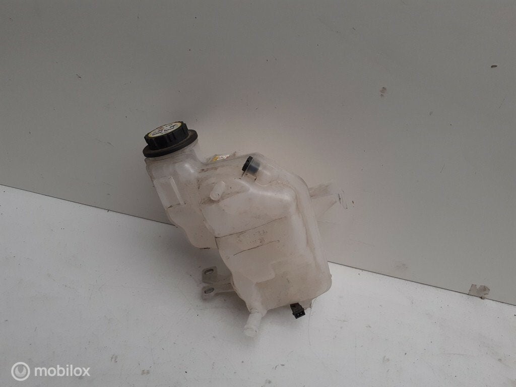 Koelvloeistof Tank Land Rover Discovery Range Sport TDV6, Land Rover, Ophalen of Verzenden
