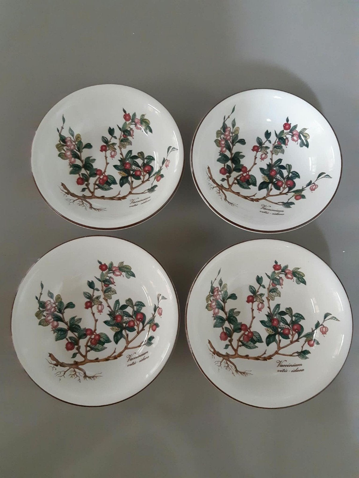 4 Dessertschaaltjes Villeroy en Boch Botanica, Ophalen of Verzenden, Overige stijlen, Porselein, Schaal of Schalen