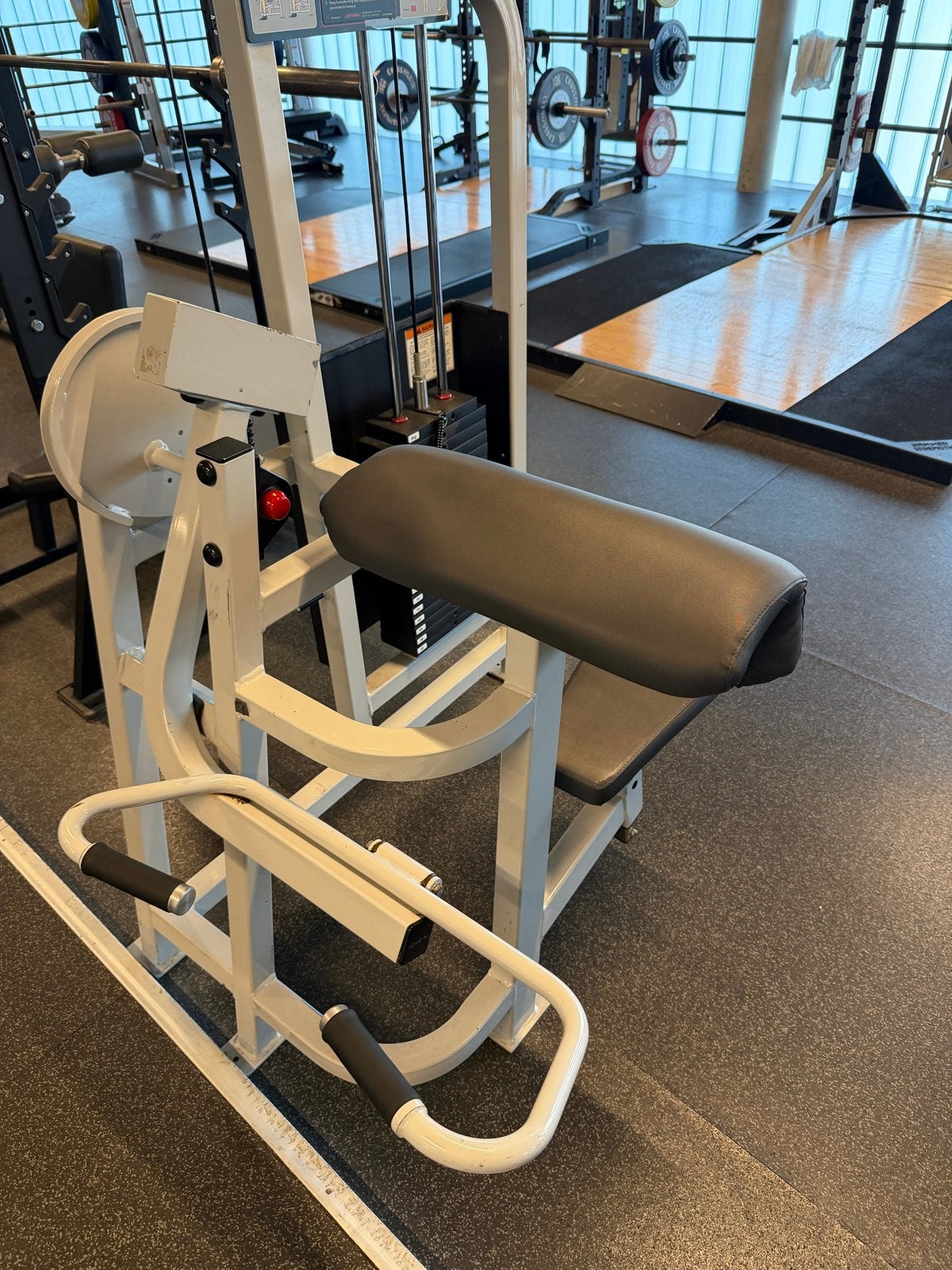 Hammer Strength Biceps Curl - Goede staat, Ophalen, Gebruikt, Krachtstation, Armen