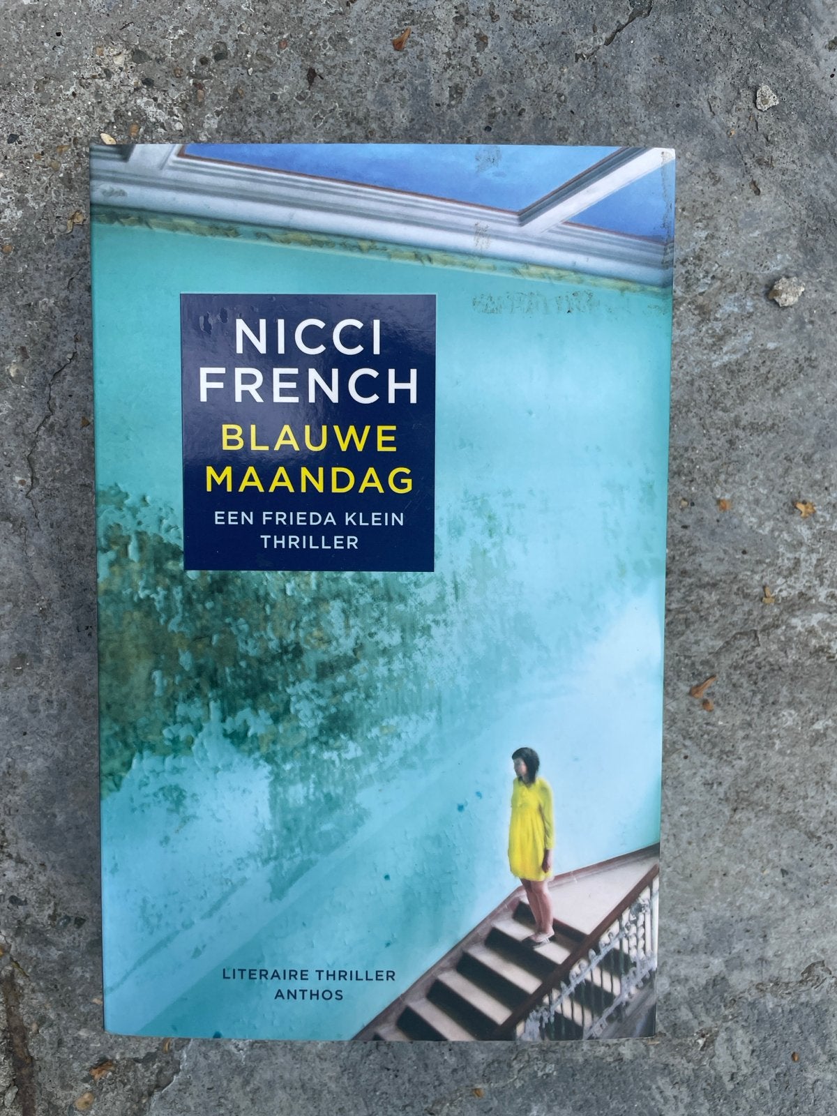 Nicci French - Blauwe Maandag (Frieda Klein Thriller), Ophalen of Verzenden, Gelezen, Europa overig