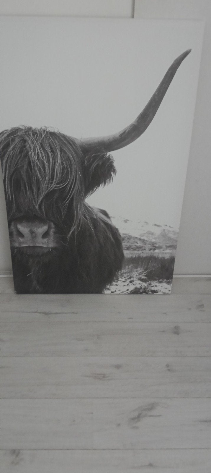 Poster afmeting 115 x 75, Ophalen of Verzenden, Gebruikt