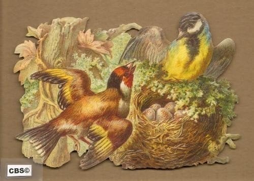 Vogels bij het nest poezieplaatjes 5044, Verzamelen, Ophalen of Verzenden