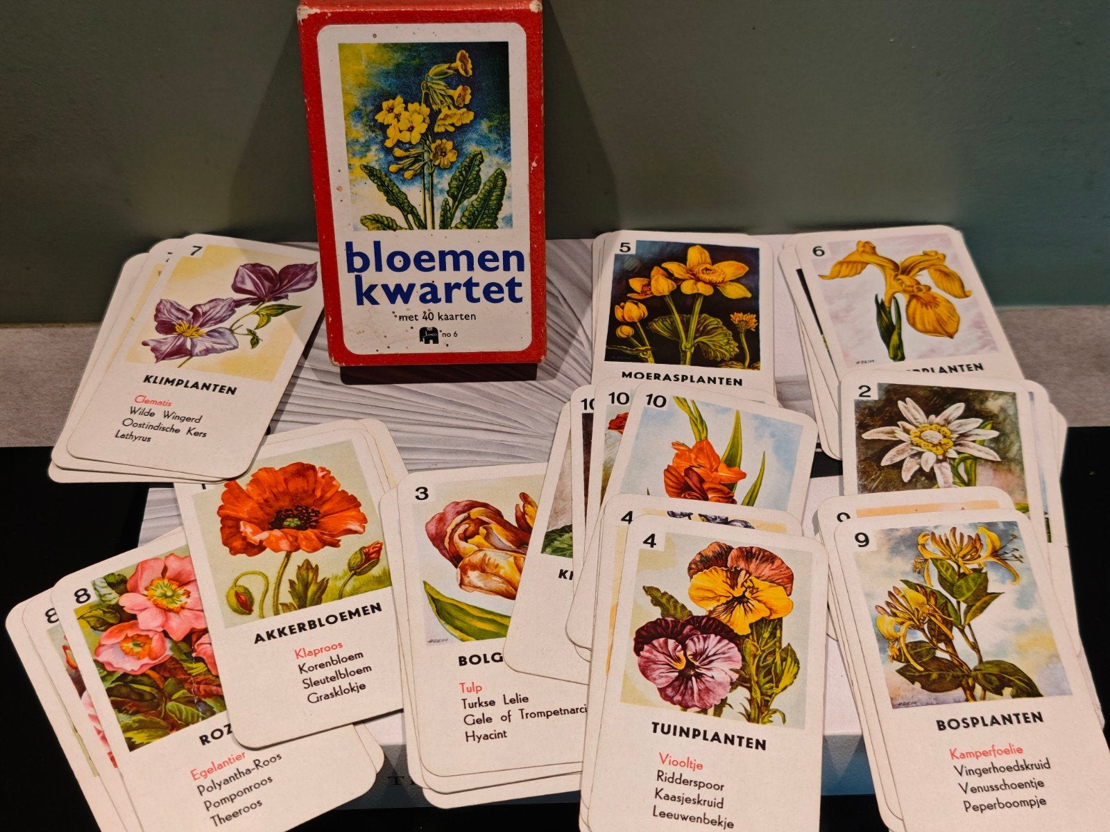 Vintage Bloemenkwartet Jumbo - Compleet met 40 kaarten, Drie of vier spelers, Ophalen of Verzenden, Gebruikt, Jumbo