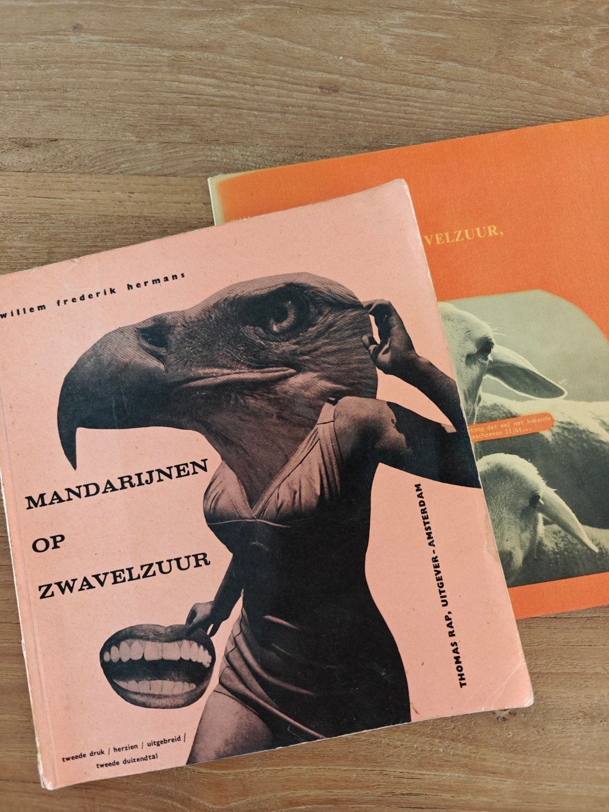 Willem Frederik Hermans - Mandarijnen op zwavelzuur (oud), Antiek en Kunst, Antiek | Boeken en Bijbels, Ophalen of Verzenden, Willem Frederik Hermans