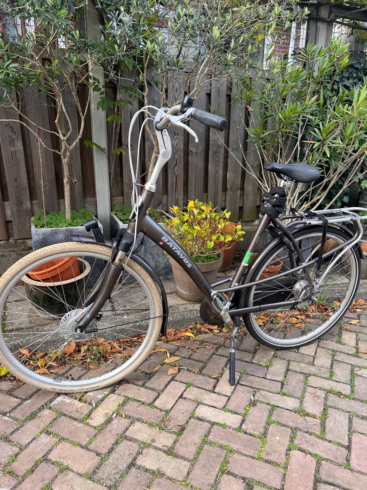 Batavus Mambo Damesfiets - ZGAN, Ophalen, 53 tot 56 cm, Versnellingen, Batavus