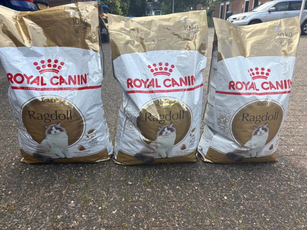Royal Canin ragdoll adult, Ophalen, Kat