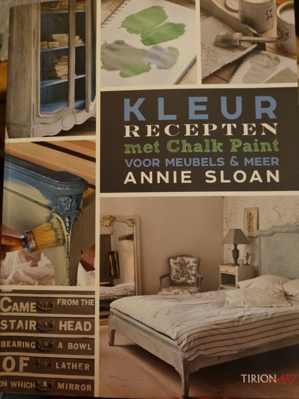 Boek: Kleurrecepten met Chalk Paint - Annie Sloan, Ophalen of Verzenden, Zo goed als nieuw, Annie Sloan