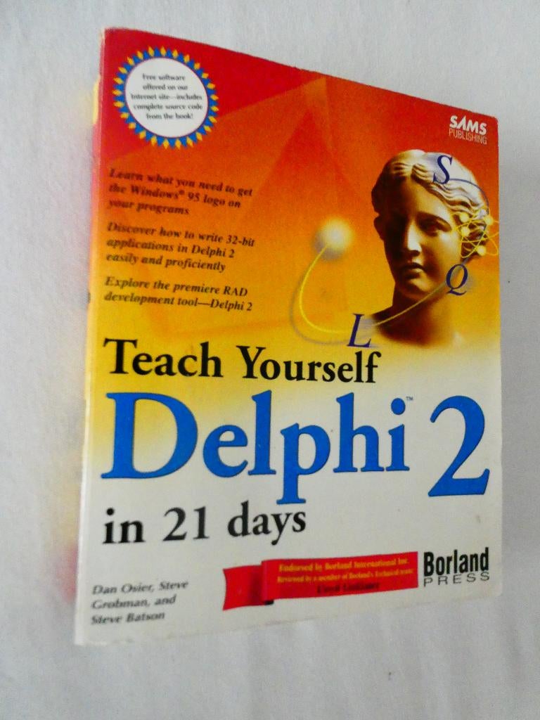 Delphi 2, Boeken, Programmeertaal of Theorie, Ophalen of Verzenden, Zo goed als nieuw, Dan Osier