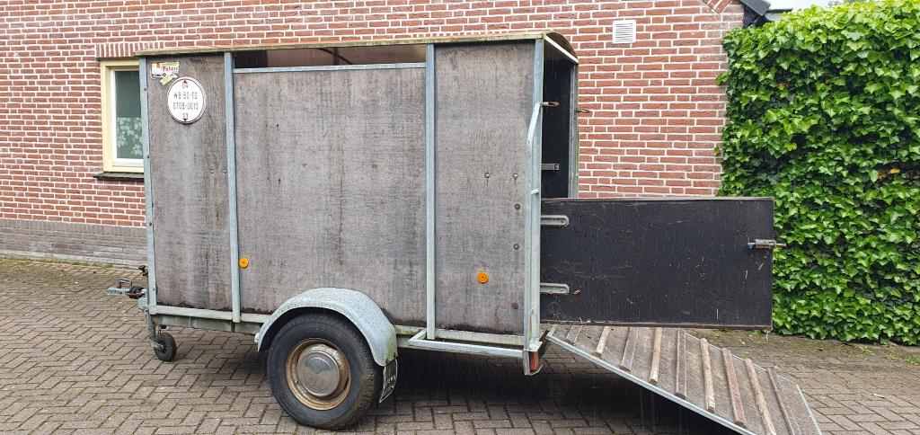 kleinvee aanhangwagen, Dieren en Toebehoren, Schapen, Geiten en Varkens, Meerdere dieren, Schaap